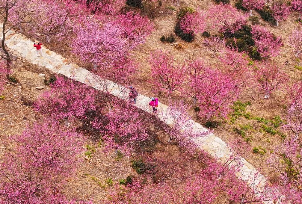 东方投行成为历史，内地券商还有8家投行子公司，该如何抉择？